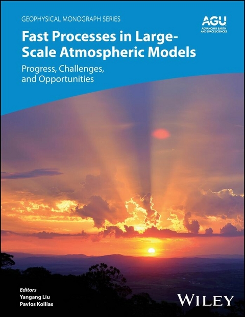 Fast Processes in Large-Scale Atmospheric Models - 