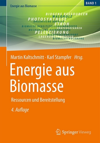 Energie aus Biomasse - Martin Kaltschmitt; Karl Stampfer