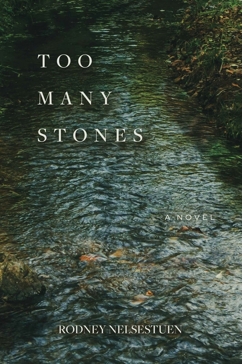 Too Many Stones -  Rodney Nelsestuen