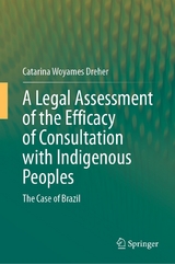 A Legal Assessment of the Efficacy of Consultation with Indigenous Peoples - Catarina Woyames Dreher
