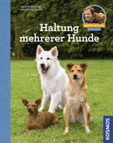 Haltung mehrerer Hunde - Martin Rütter, Andrea Buisman