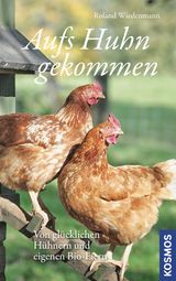 Aufs Huhn gekommen - Roland Wiedenmann