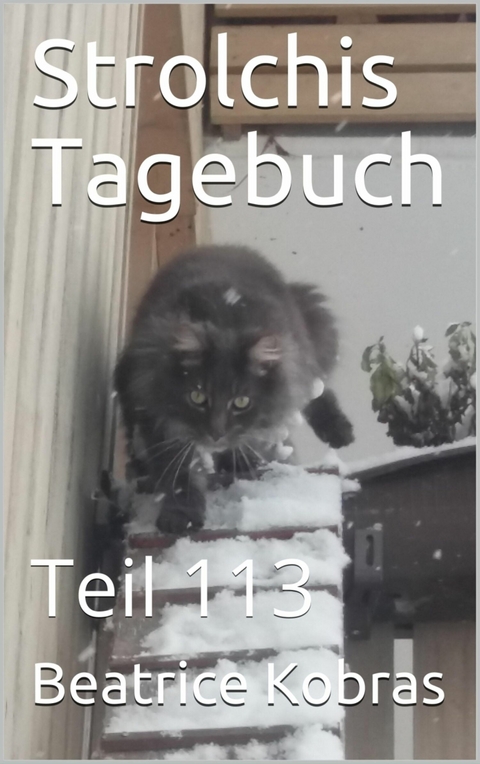 Strolchis Tagebuch - Teil 113 -  Beatrice Kobras