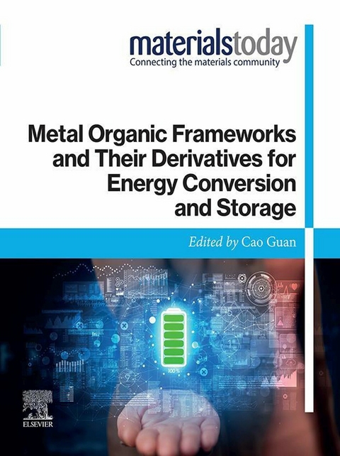 Metal Organic Frameworks and Their Derivatives for Energy Conversion and Storage - 