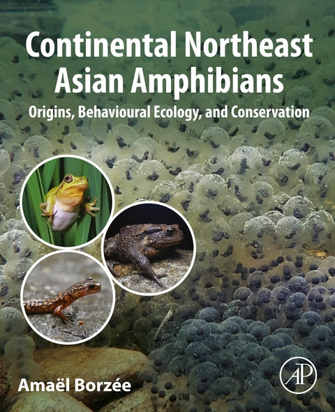 Continental Northeast Asian Amphibians -  Amael Borzee