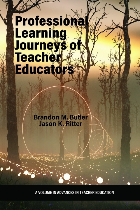 Professional Learning Journeys of Teacher Educators - 