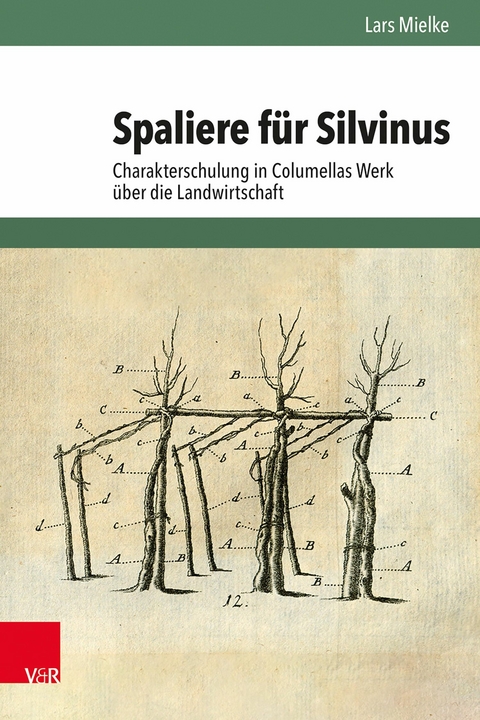 Spaliere für Silvinus -  Lars Mielke