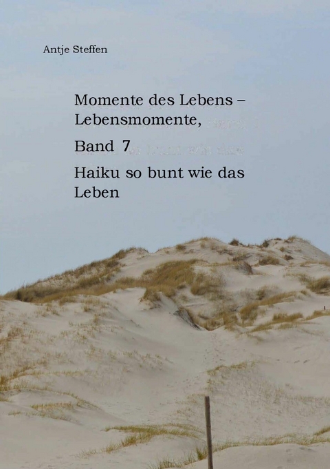 Momente des Lebens - Lebensmomente Band 7 -  Antje Steffen