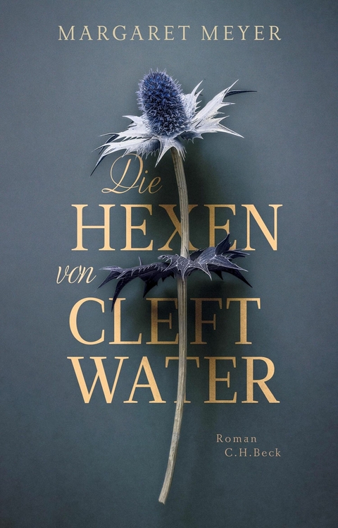 Die Hexen von Cleftwater - Margaret Meyer