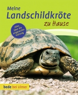 Meine Landschildkröte zu Hause - Keller, Gerti; Schneider, Eva-Grit