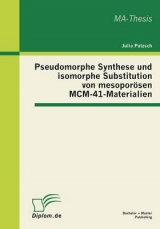 Pseudomorphe Synthese und isomorphe Substitution von mesoporösen MCM-41-Materialien - Julia Patzsch