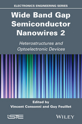 Wide Band Gap Semiconductor Nanowires 2 - 