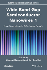 Wide Band Gap Semiconductor Nanowires 1 - 
