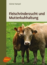 Fleischrinderzucht und Mutterkuhhaltung - Günter Hampel