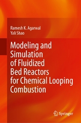 Modeling and Simulation of Fluidized Bed Reactors for Chemical Looping Combustion - Ramesh K. Agarwal, Yali Shao