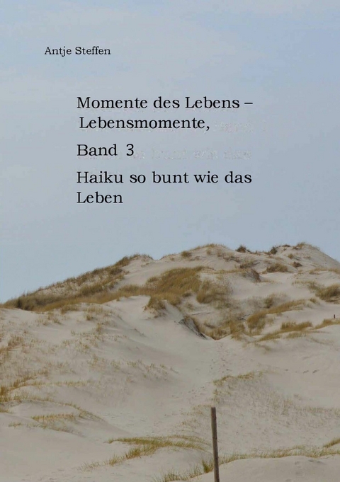 Momente des Lebens - Lebensmomente Band 3 -  Antje Steffen