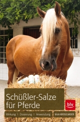 Schüßler-Salze für Pferde - Kaja Kreiselmeier