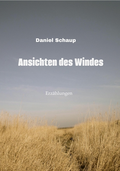 Ansichten des Windes - Daniel Schaup