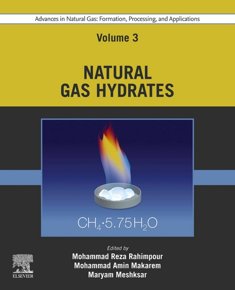 Advances in Natural Gas: Formation, Processing, and Applications. Volume 3: Natural Gas Hydrates - 