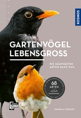 Gartenvögel lebensgroß - Daniela Strauß