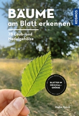 Bäume am Blatt erkennen - 78 Laub- und Nadelgehölze. Blätter in Originalgröße -  Meike Bosch