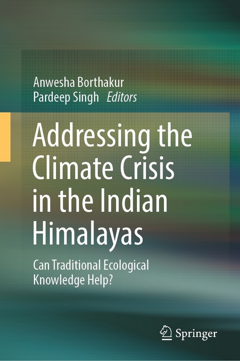Addressing the Climate Crisis in the Indian Himalayas - 