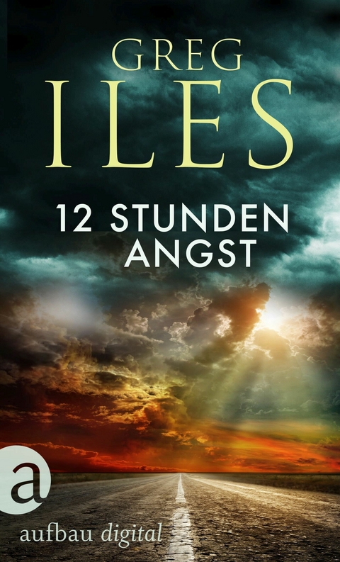 12 Stunden Angst -  Greg Iles