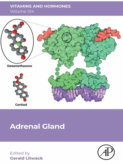 Adrenal Gland