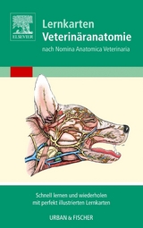 Lernkarten Veterinäranatomie / Veterinary Anatomy Flash Cards - Baljit Singh