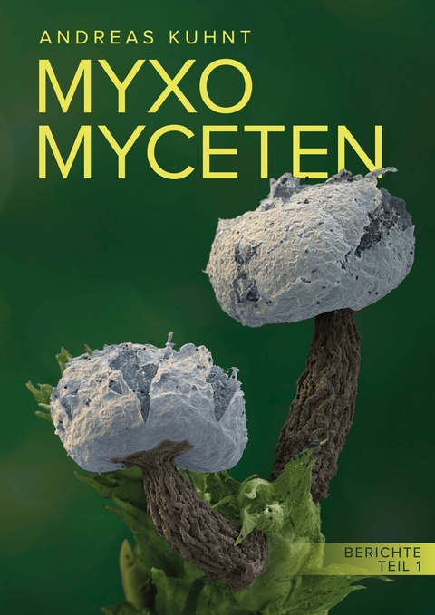 Myxomyceten -  Andreas Kuhnt