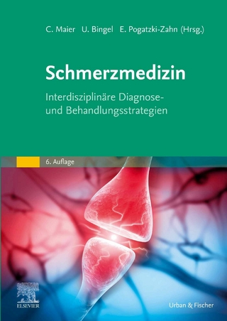 Die Schmerzmedizin - Christoph Maier; Ulrike Bingel; Esther Pogatzki-Zahn