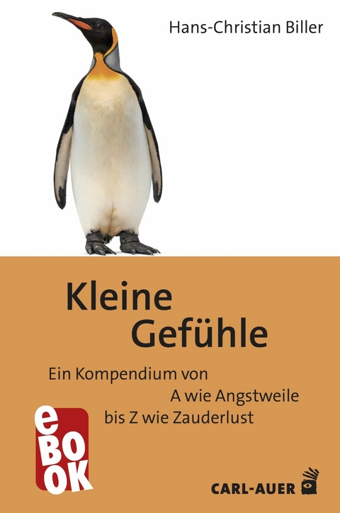 Kleine Gefühle - Hans-Christian Biller