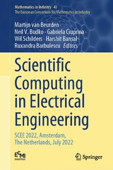 Scientific Computing in Electrical Engineering - 