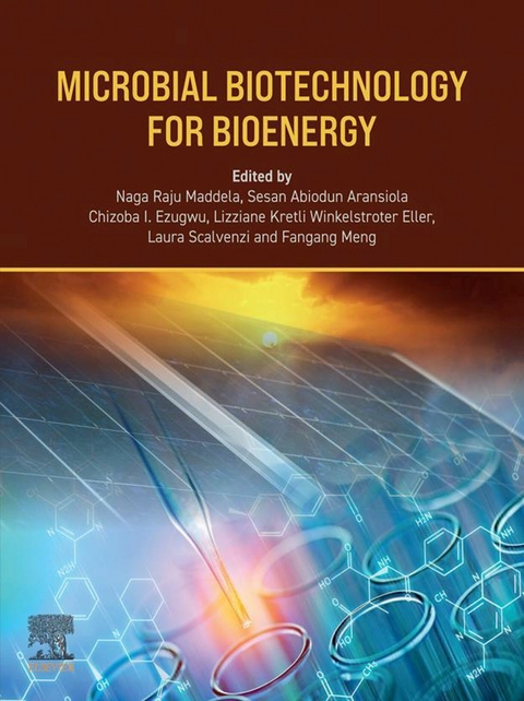Microbial Biotechnology for Bioenergy - 