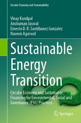 Sustainable Energy Transition - Vinay Kandpal, Anshuman Jaswal, Ernesto D.R. Santibanez Gonzalez, Naveen Agarwal