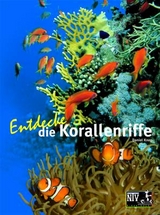 Entdecke die Korallenriffe - Daniel Knop