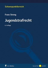 Jugendstrafrecht - Franz Streng