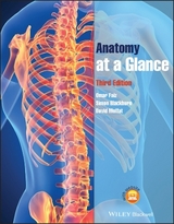Anatomy at a Glance - Faiz, Omar; Blackburn, Simon; Moffat, David