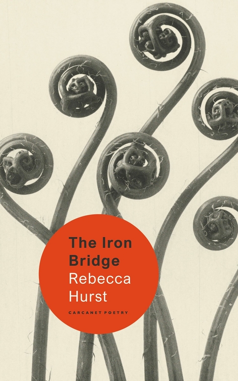 Iron Bridge -  Rebecca Hurst