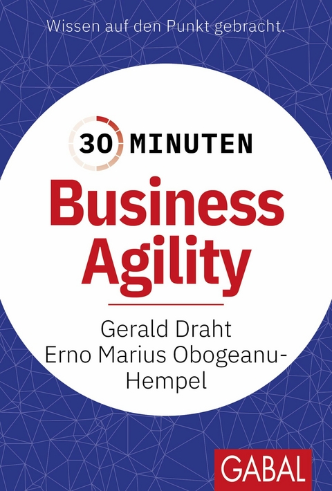 30 Minuten Business Agility - Gerald Draht, Erno Marius Obogeanu-Hempel