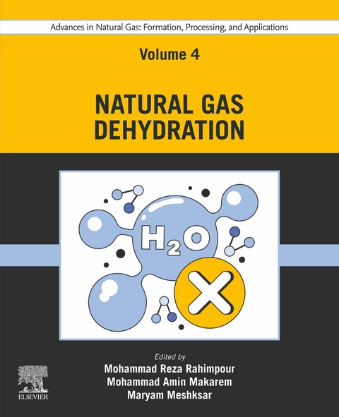 Advances in Natural Gas: Formation, Processing, and Applications. Volume 4: Natural Gas Dehydration - 