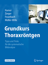 Grundkurs Thoraxröntgen - Okka Hamer, Niels Zorger, Stefan Feuerbach, René Müller-Wille