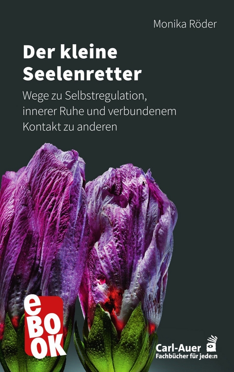 Der kleine Seelenretter - Monika Röder