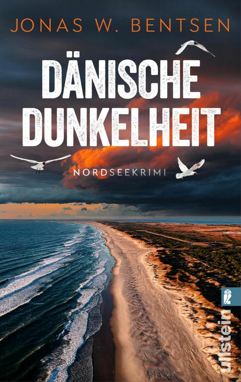 Dänische Dunkelheit -  Jonas W. Bentsen