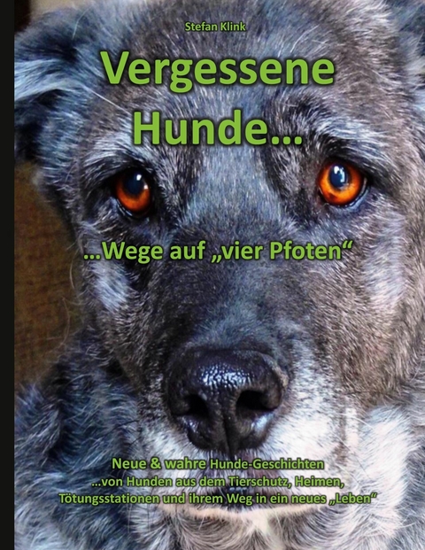 Vergessene Hunde - Stefan Klink