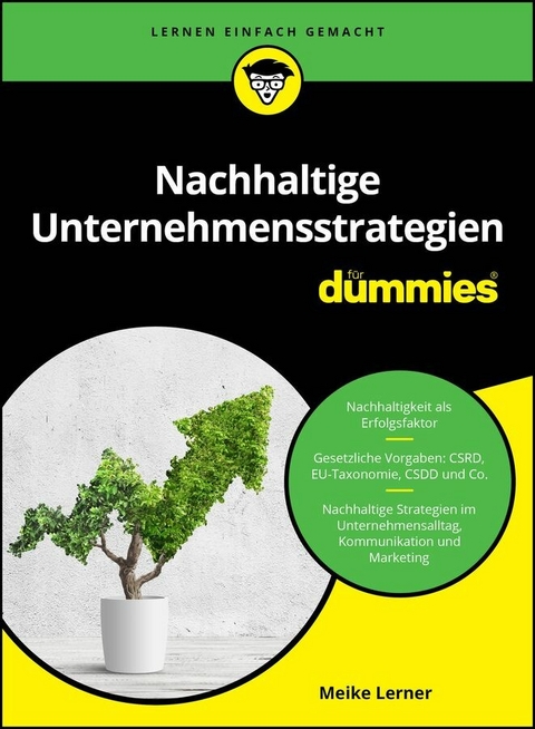 Nachhaltige Unternehmensstrategien für Dummies -  Meike Lerner