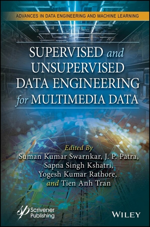 Supervised and Unsupervised Data Engineering for Multimedia Data - 