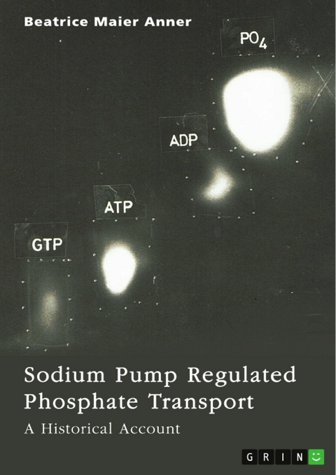 Sodium Pump Regulated Phosphate Transport - Beatrice Maier Anner