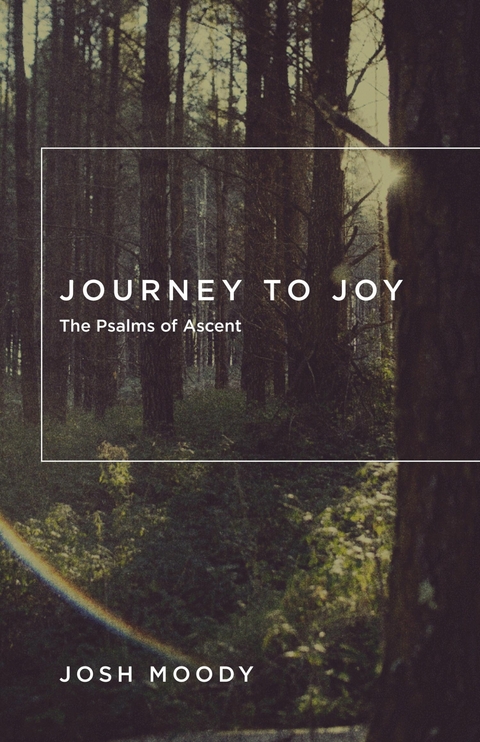 Journey to Joy -  Josh Moody