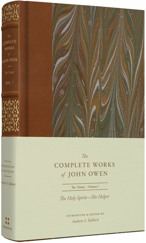 Holy Spirit-The Helper (Volume 7) -  John Owen